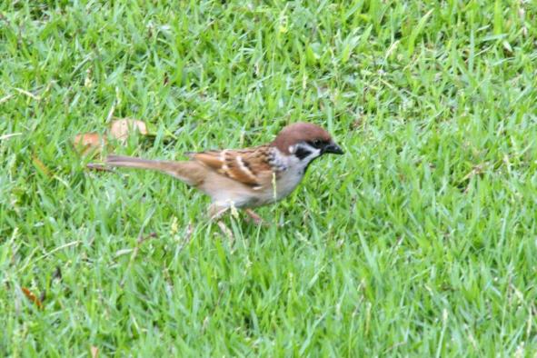 2009-03-16_0670_edited-1