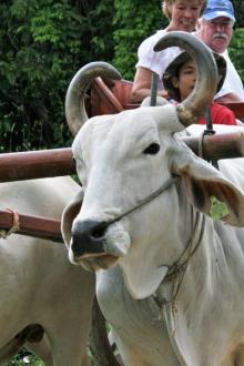 2009-03-18_1193_edited-1