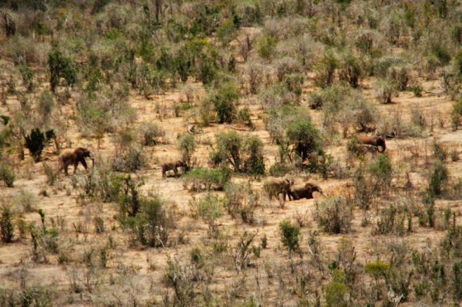 2009-04-09_3805_edited-1