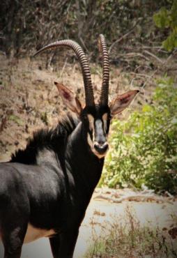 2009-04-10_4071_edited-1