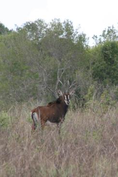 20090410_4008_edited-1