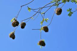 2009-04-16_6210_edited-1