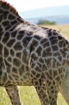 2009-04-16_6242_edited-1