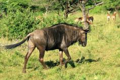 2009-04-16_6354_edited-1