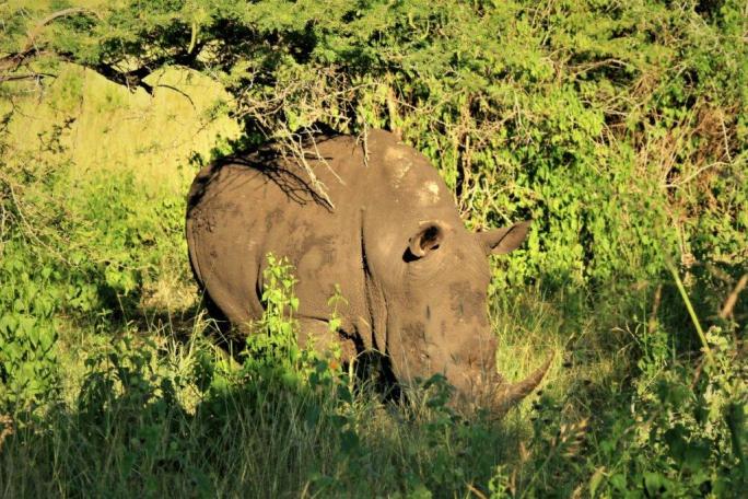 2009-04-16_6397_edited-1