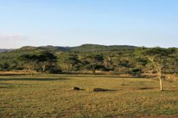 2009-04-16_6467_edited-1