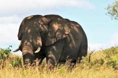 2009-04-17_6093_edited-1