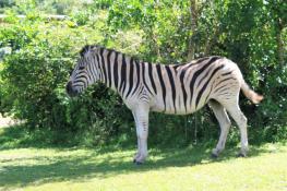 2009-04-17_6107_edited-1