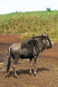 2009-04-18_6947_edited-1