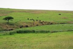 2009-04-18_6972_edited-1